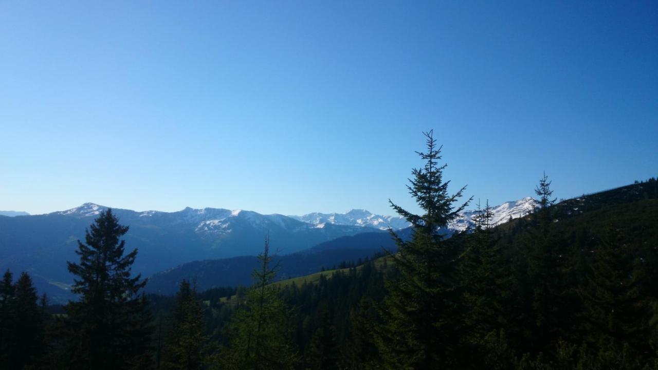 Berggasthof Schatzbergalm Thierbach Kültér fotó